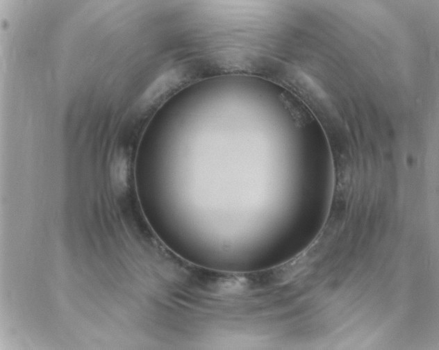 X0000089970124200706291356