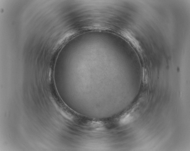 X0000089970157200706291355