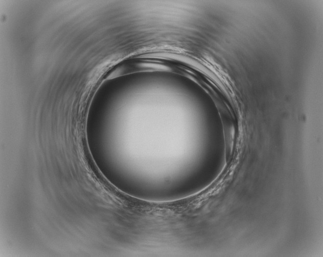 X0000089970193200706291355