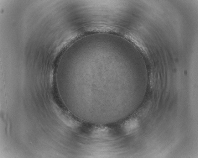 X0000089970206200706291355