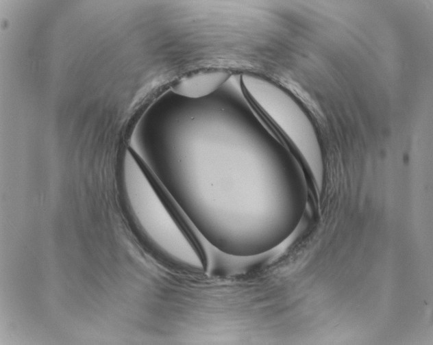 X0000089970207200706291355