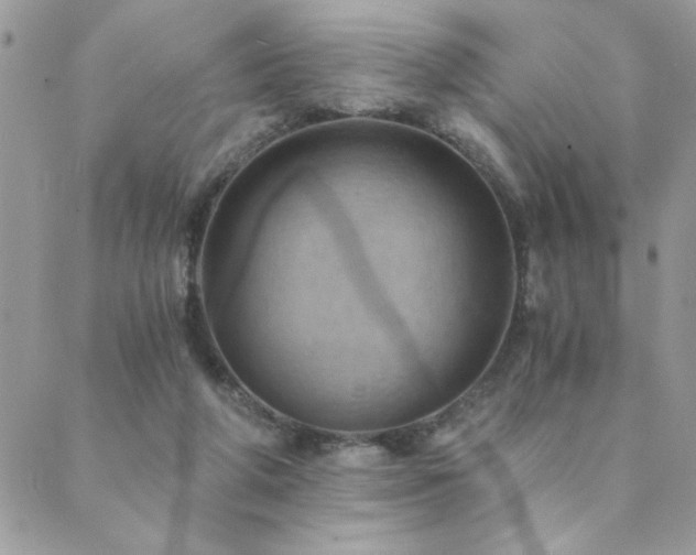 X0000089970210200706291354