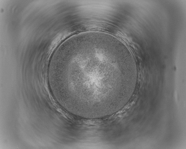 X0000089970241200706291353