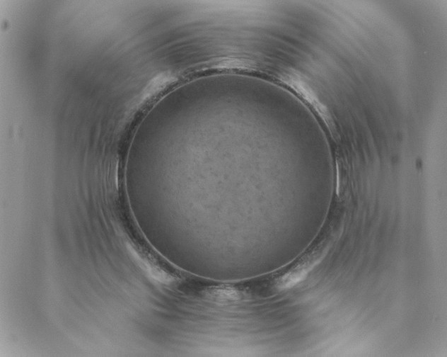 X0000089970253200706291353