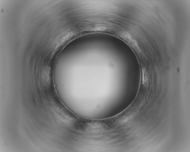 X0000089970300200706291353