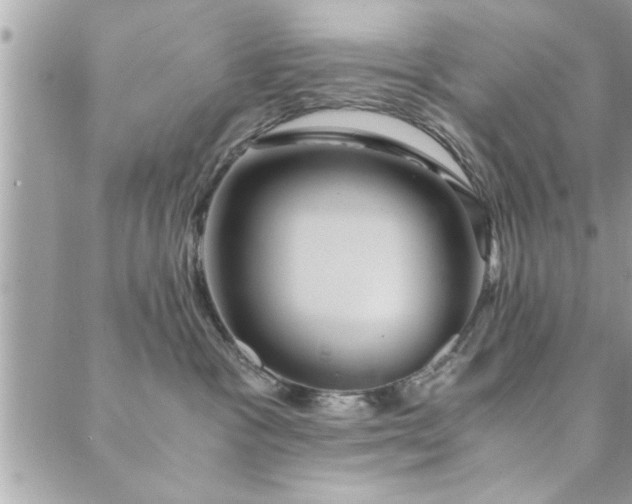 X0000089970333200706291352