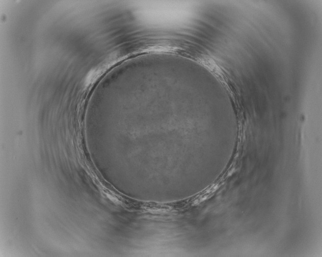 X0000089970337200706291352