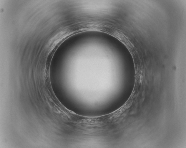 X0000089970338200706291352
