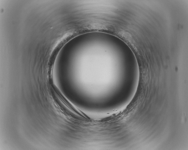 X0000089970395200706291351