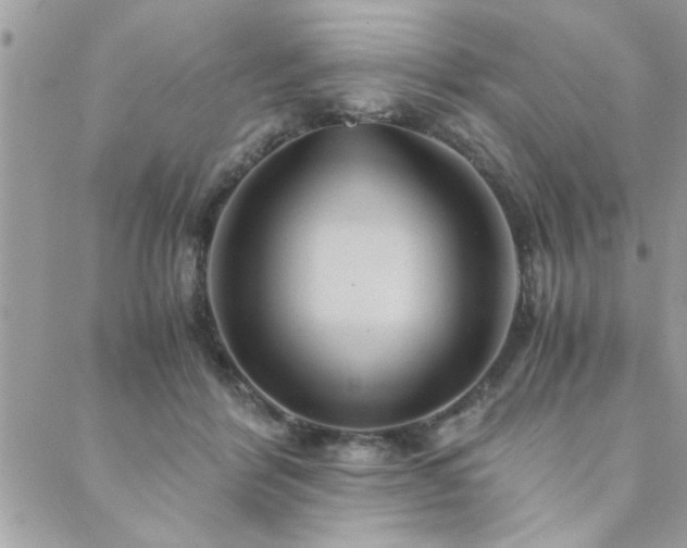 X0000089970412200706291351