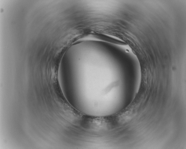 X0000089970420200706291351