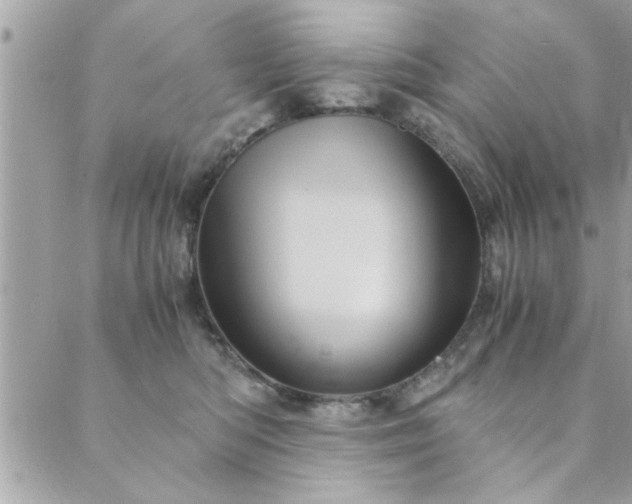 X0000089970422200706291351