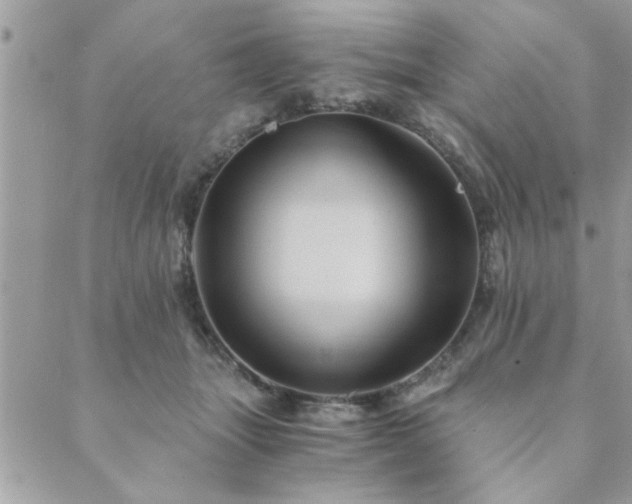 X0000089970463200706291351
