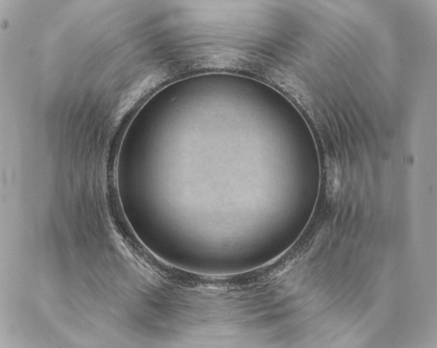 X0000089970482200706291350