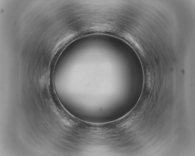 X0000089970486200706291350