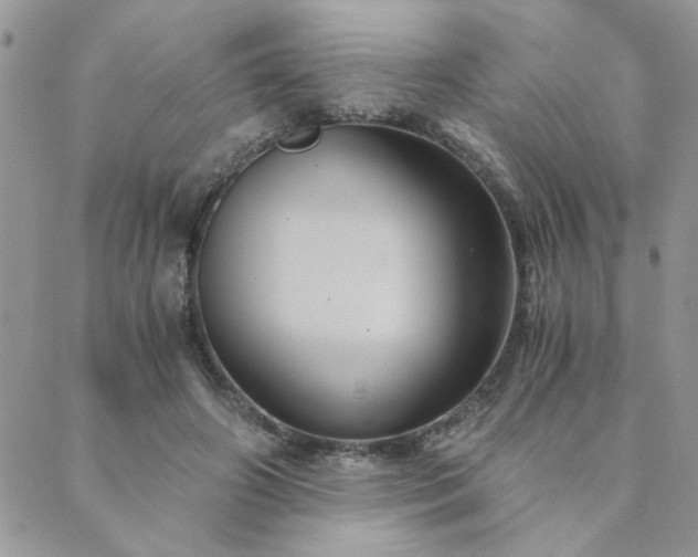 X0000089970498200706291350