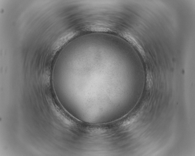 X0000089970533200706291349