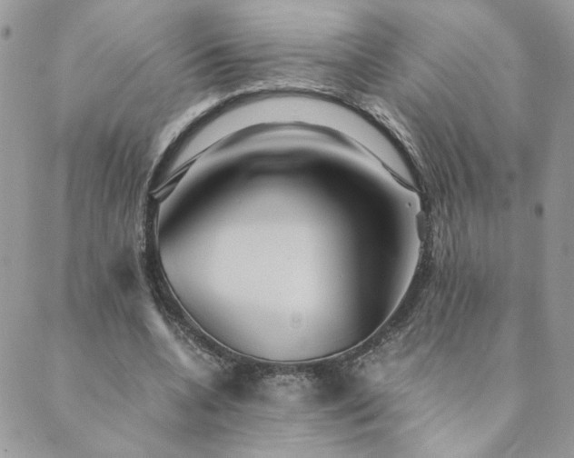 X0000089970536200706291349