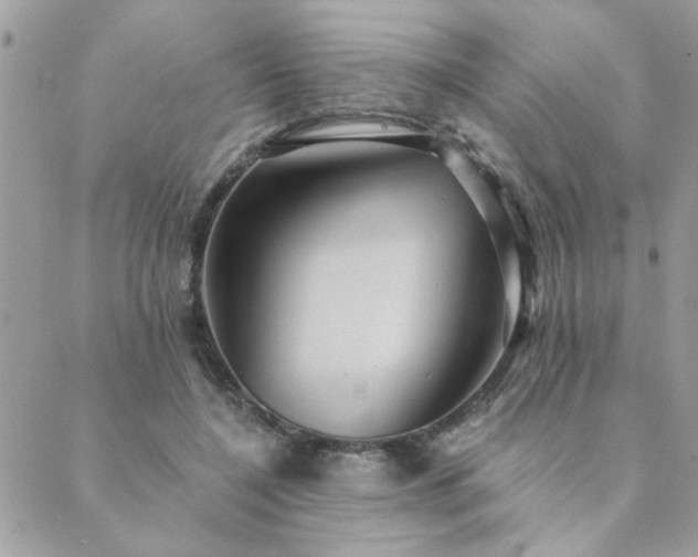 X0000089970548200706291349