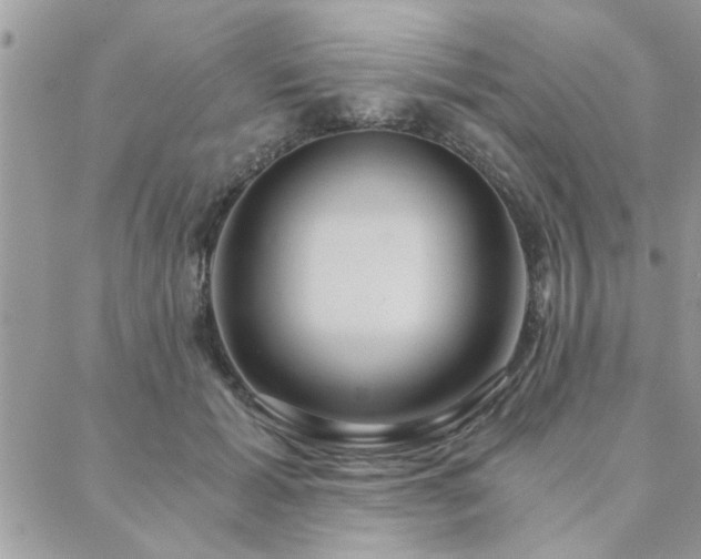 X0000089970605200706291348