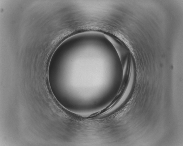 X0000089970673200706291347