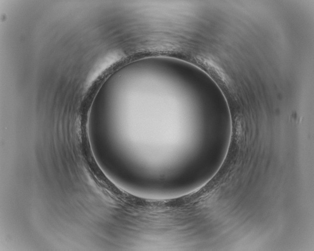 X0000089970684200706291347