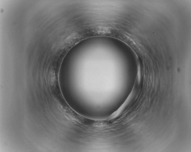 X0000089970704200706291346