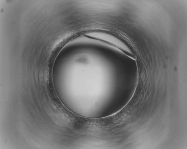 X0000089970732200706291346