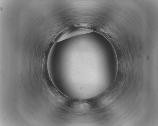 X0000089970747200706291346