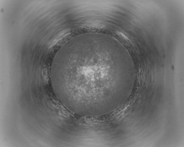 X0000089970774200706291345