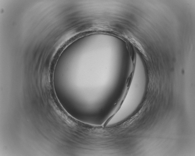 X0000089970784200706291345