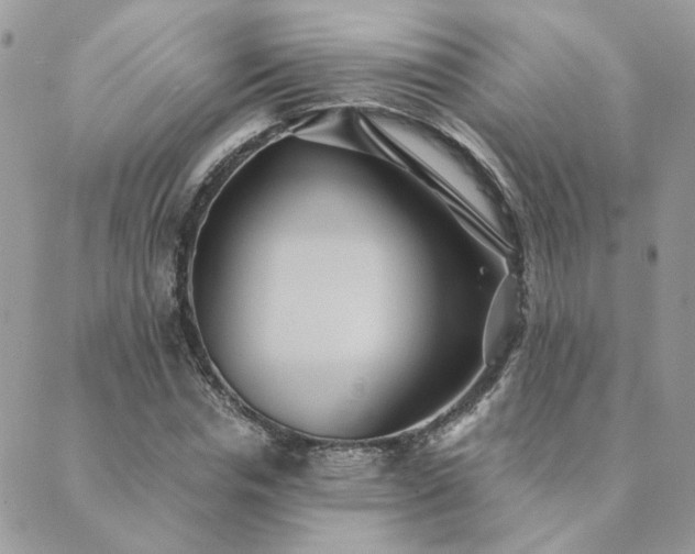 X0000089970826200706291344