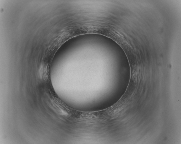 X0000089970866200706291344