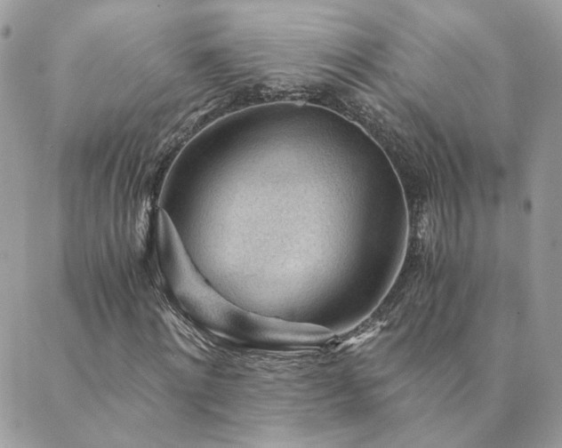 X0000089970868200706291344