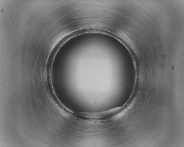 X0000089970924200706291342
