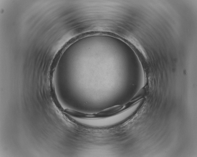 X0000089970972200706291342
