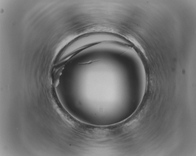 X0000089970981200706291342