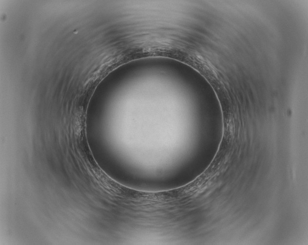 X0000089971012200706291341