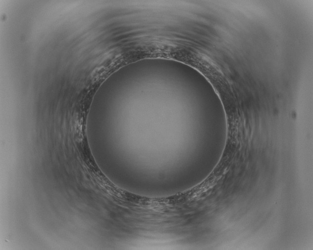 X0000089971013200706291341