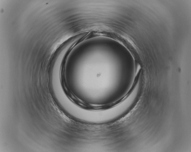 X0000089971018200706291341