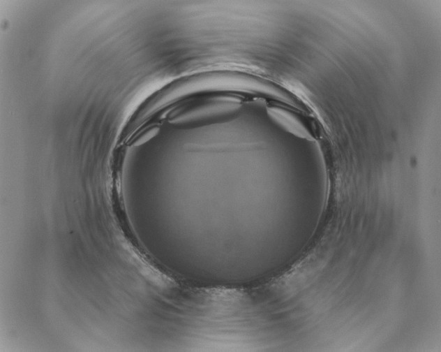 X0000089971024200706291341