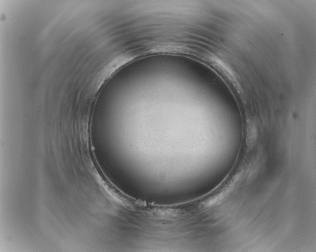 X0000089971041200706291341