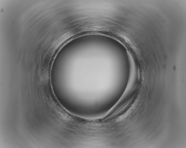 X0000089971073200706291340