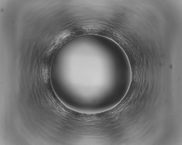 X0000089971108200706291339