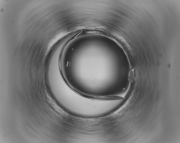 X0000089971114200706291339