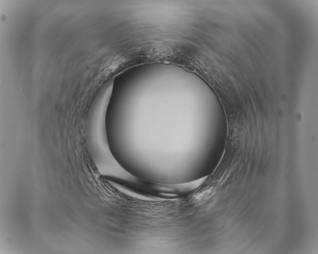 X0000089971153200706291339