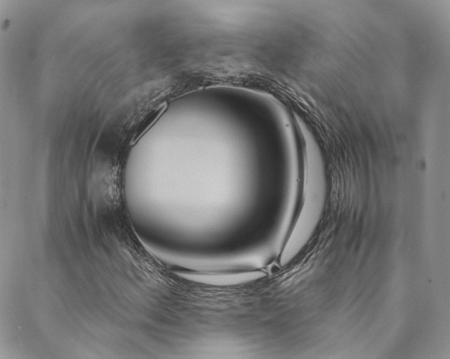 X0000089971156200706291339