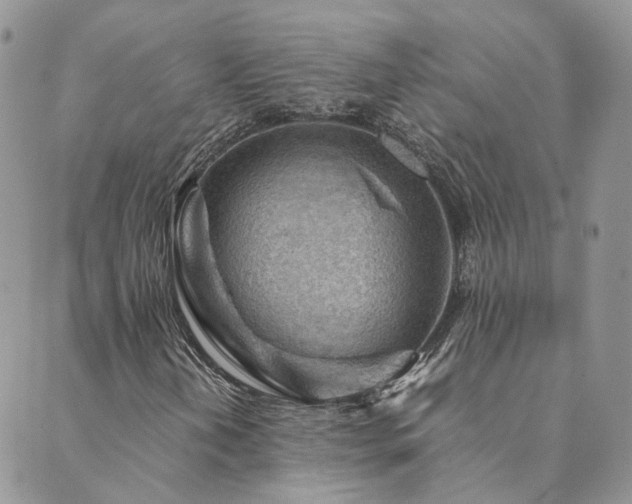 X0000089971202200706291338