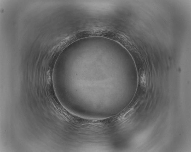 X0000089971204200706291338