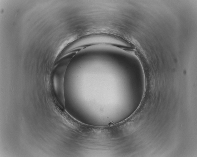 X0000089971218200706291338